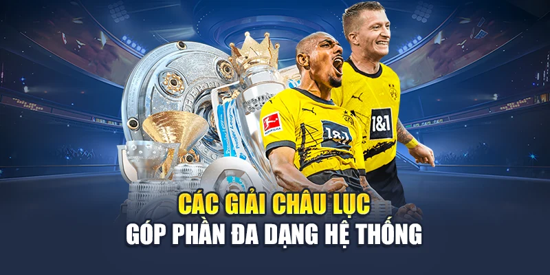Giải Bóng Đá Quốc Tế – Tinh Hoa Sân Cỏ Tổng Hợp Tại 78WIN 6 Các giải châu lục góp phần đa dạng hệ thống