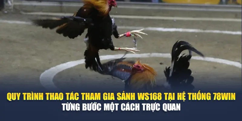 Quy trình thao tác tham gia sảnh WS168 tại hệ thống 789WIN từng bước một cách trực quan